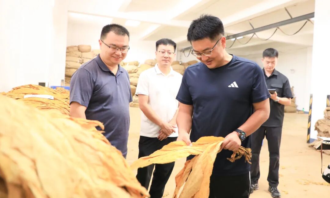 市委書(shū)記常成調(diào)研我市烤煙收購(gòu)工作